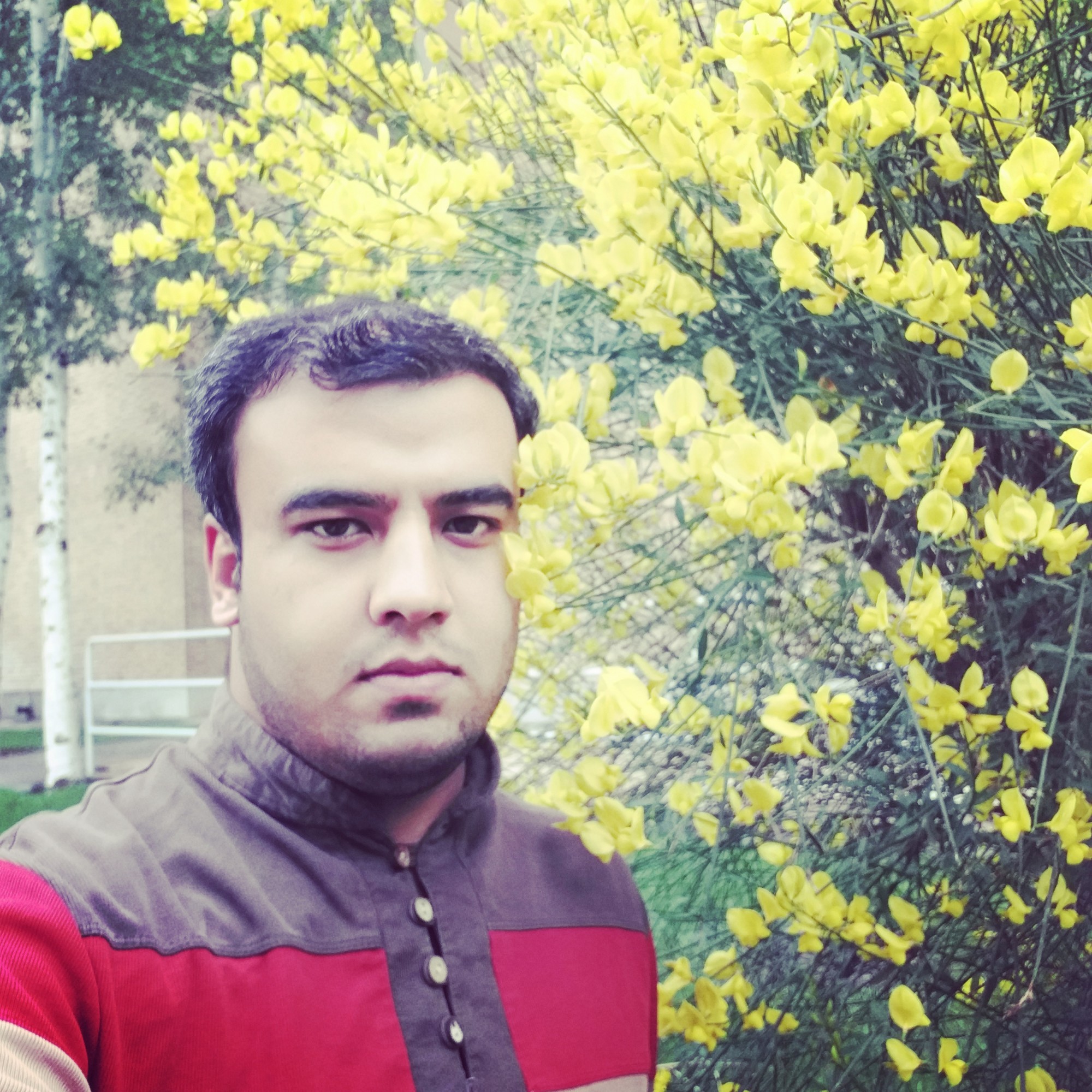 AWT IMAGE